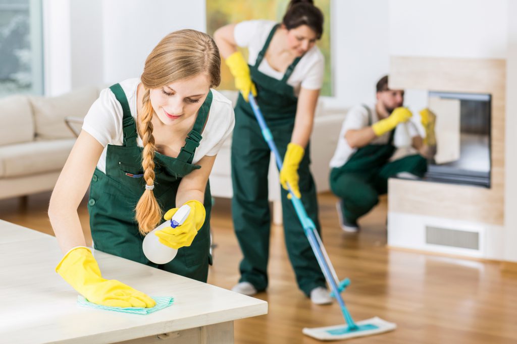 Full House Cleaning