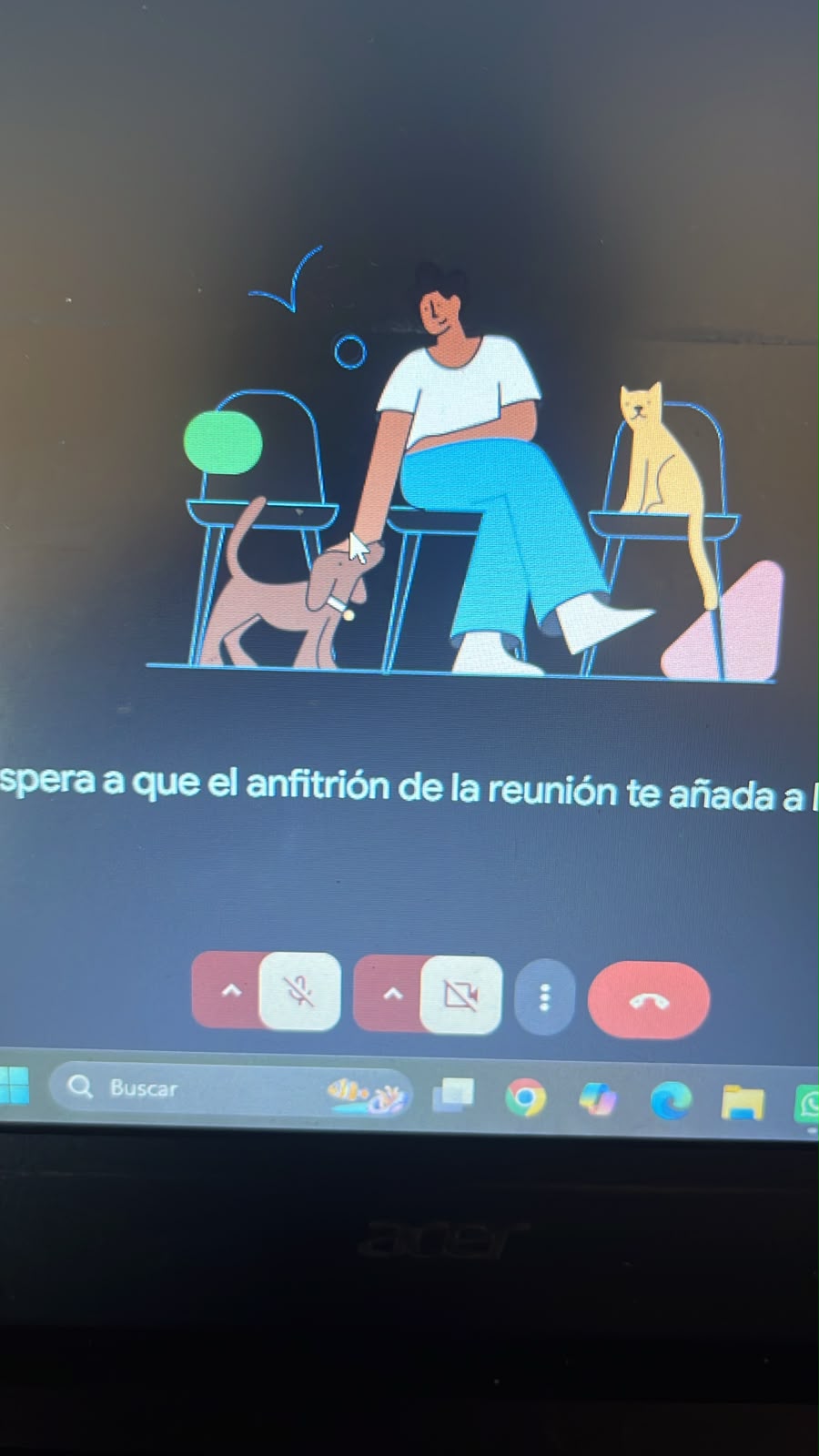 provider-user